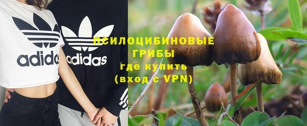 спайс Абаза