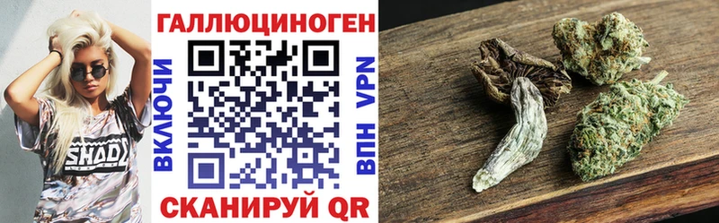 Галлюциногенные грибы Psilocybine cubensis Фрязино